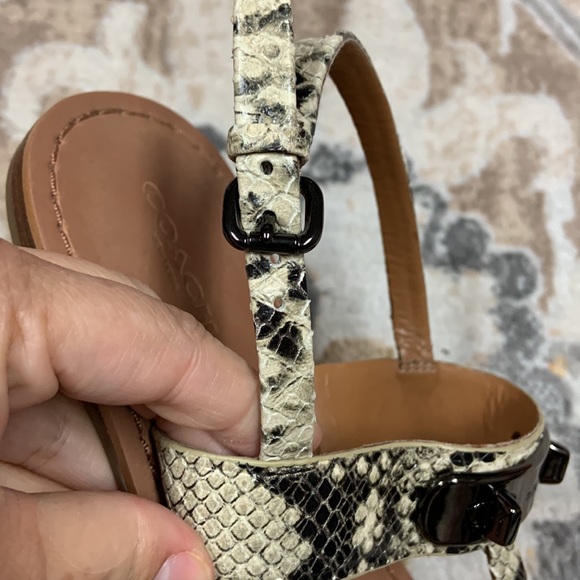 Coach Python Sandals - Picture 6 of 10